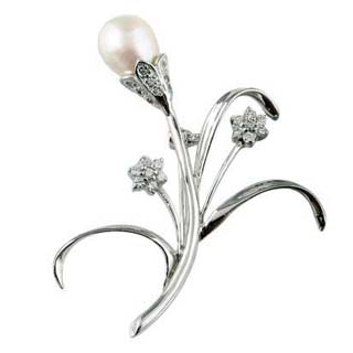 Silver Brooch (Silber Brosche)