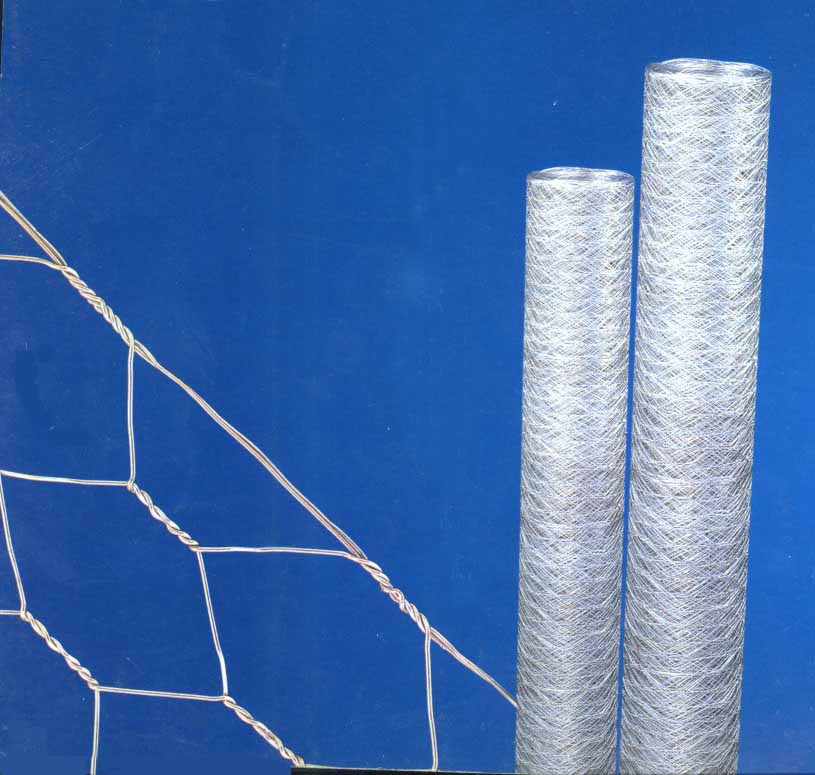  Hexagonal Wire Netting (Hexagonal Wire Netting)