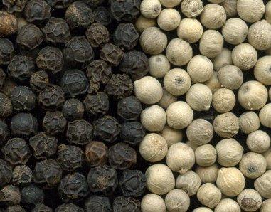  Pepper (Pepper)