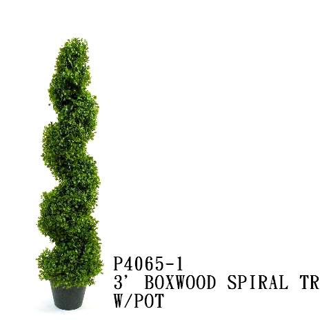  Boxwood Spiral Tr X 113 Lvs W/ Pot 4` ( Boxwood Spiral Tr X 113 Lvs W/ Pot 4`)