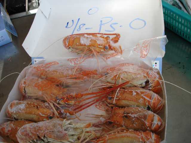  On Board Frozen Deep Sea Lobsters & Red Ring Shrimps (On Board homards congelés Deep Sea & Red Ring Crevettes)