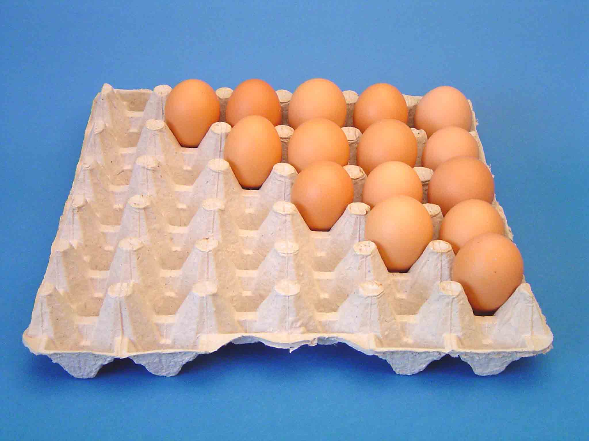  Egg Tray (Bac à œufs)