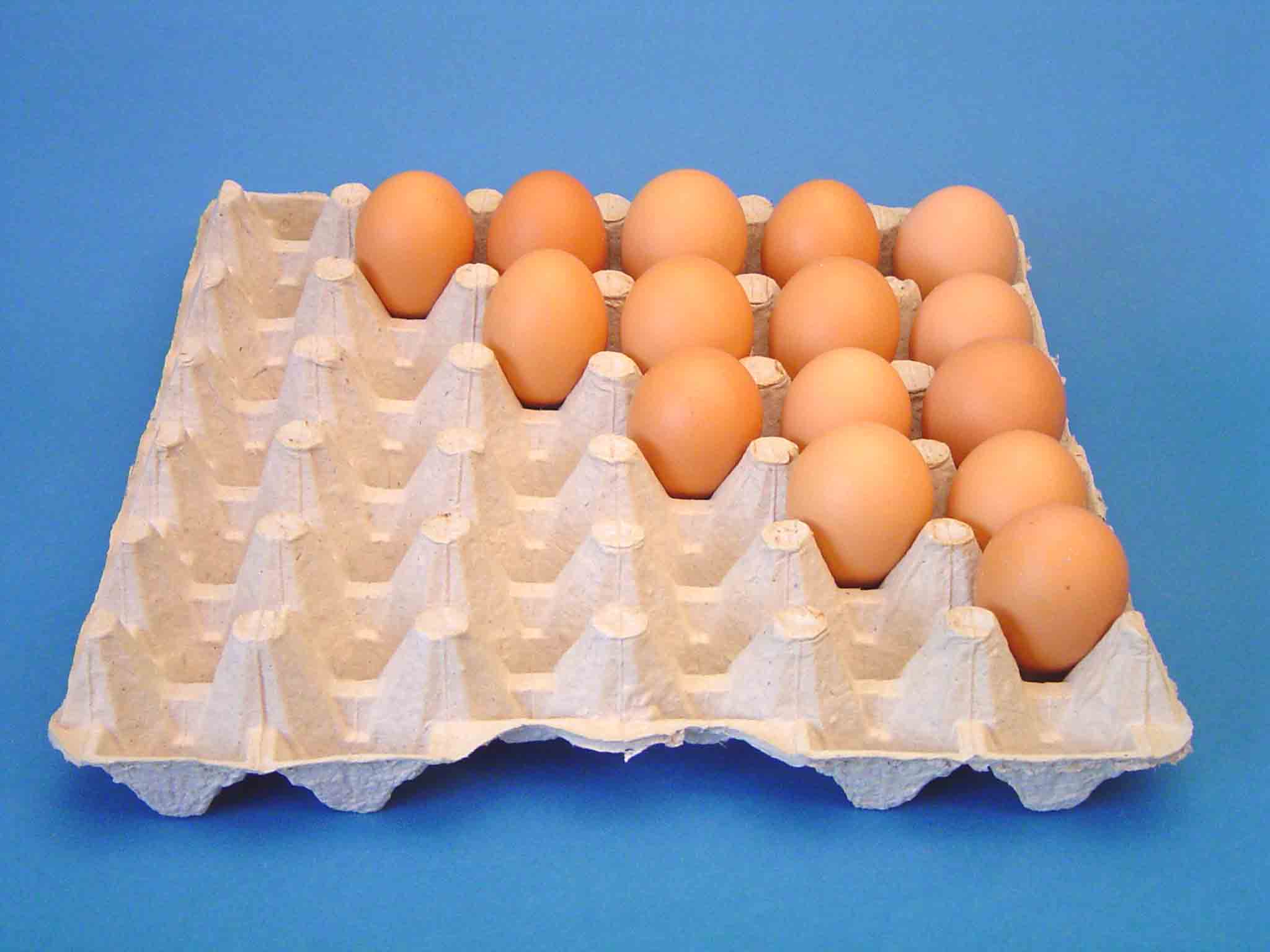 Egg Tray (Egg Tray)