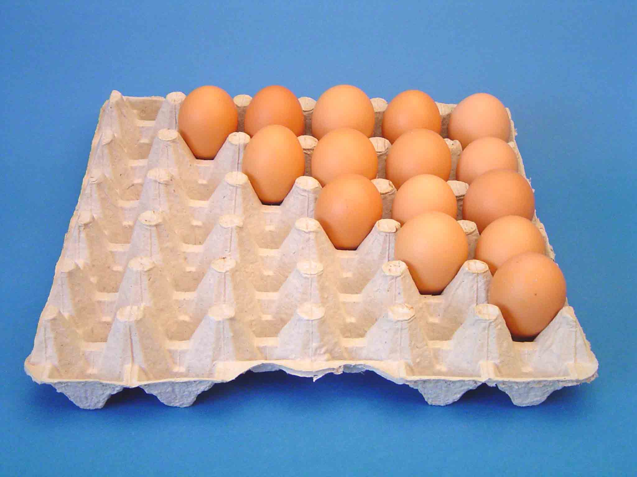  Egg Tray (Для яиц)