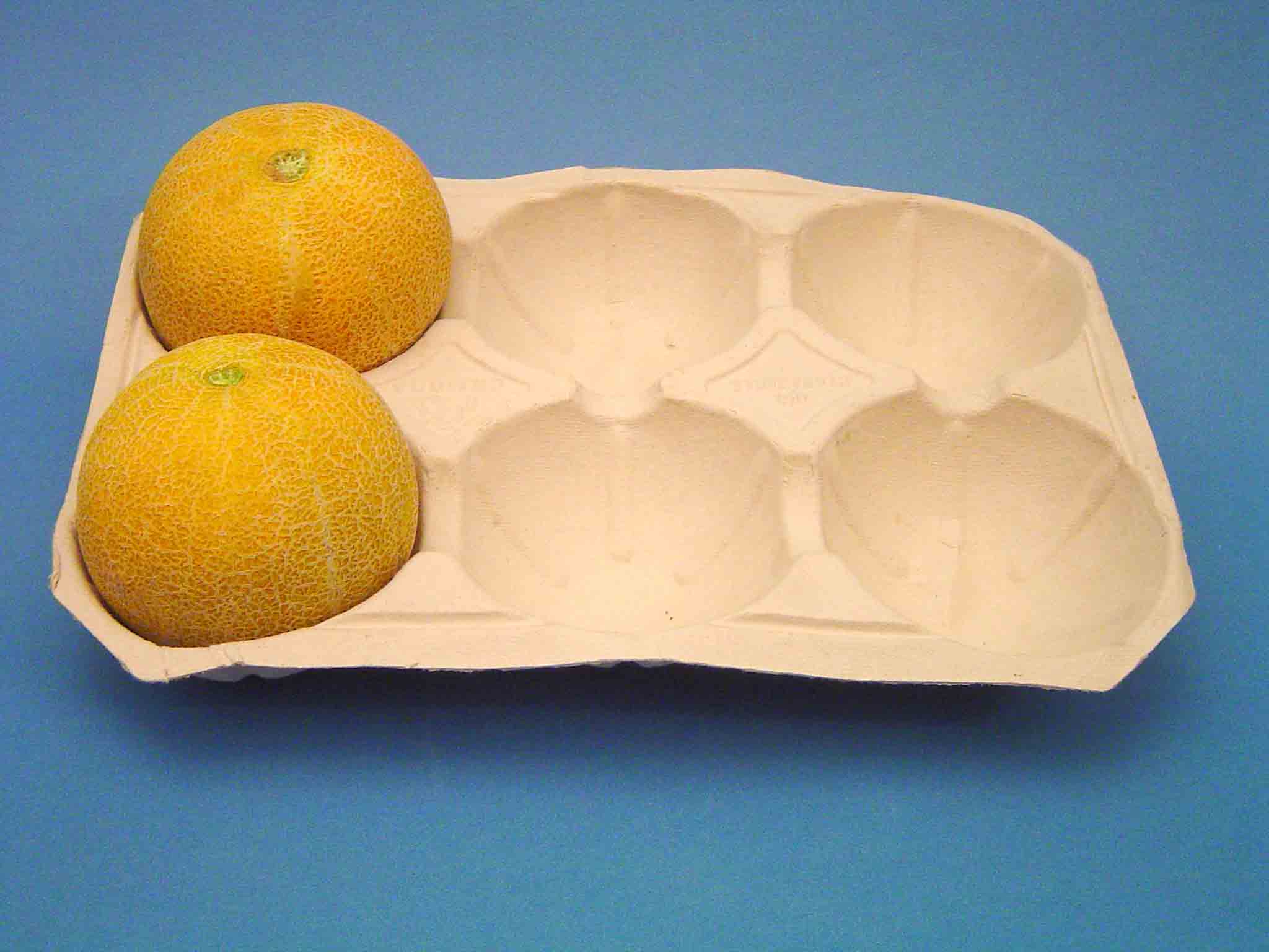 Paper Melon Fach (Paper Melon Fach)