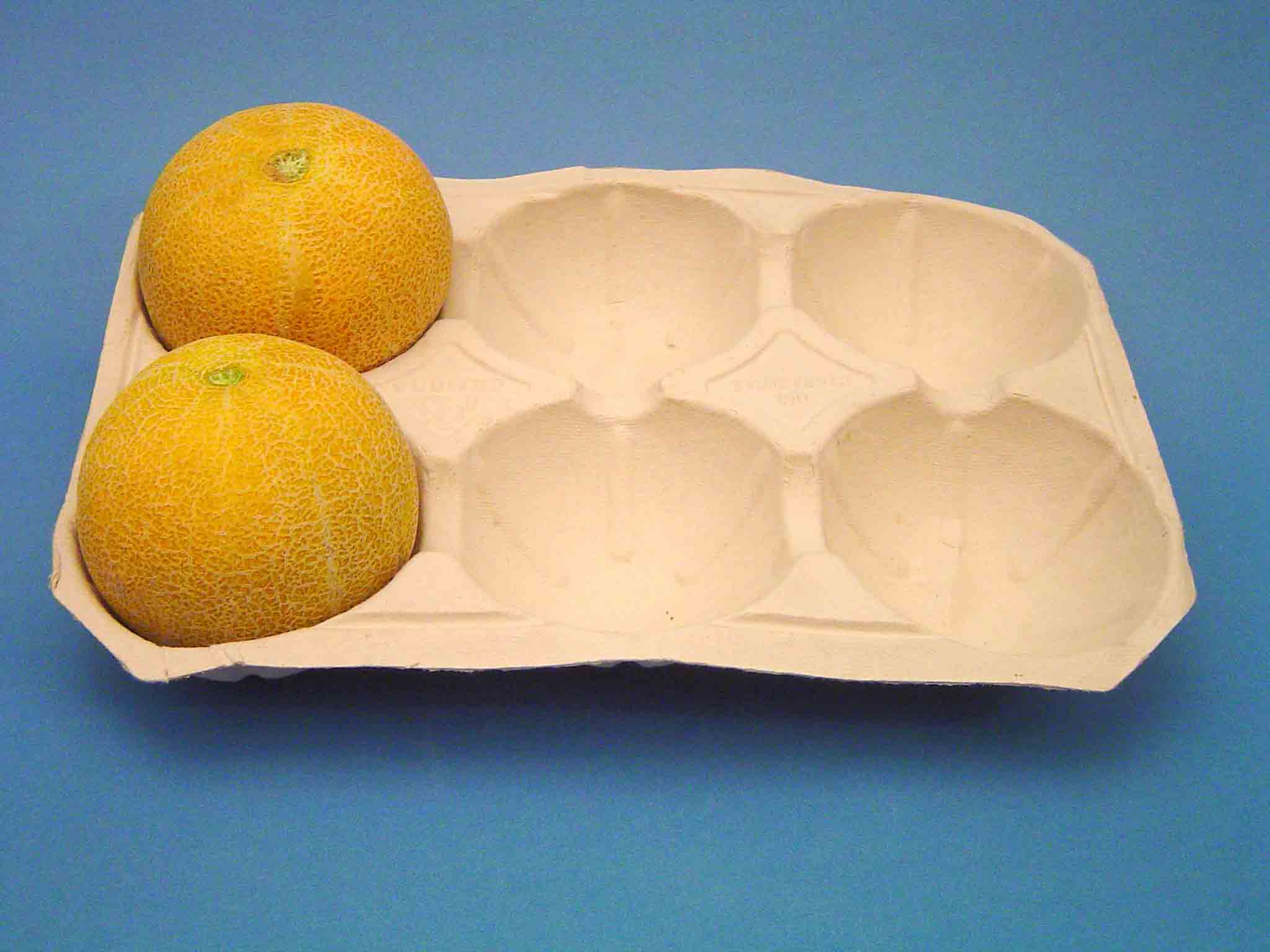  Paper Melon Tray (Бумага дыни лоток)