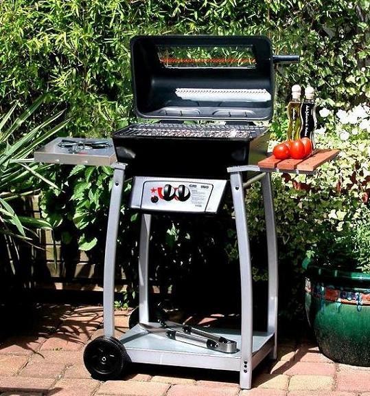  Gas BBQ Grill (Barbecue à gaz Grill)