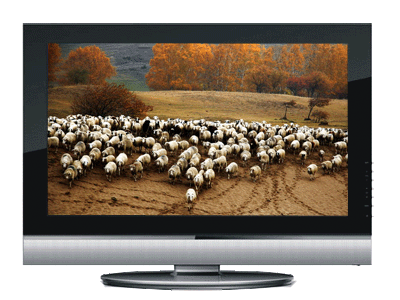 42 Zoll LCD-TV (42 Zoll LCD-TV)