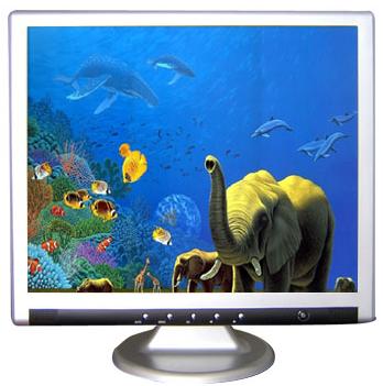  17 Inches LCD TFT Monitor