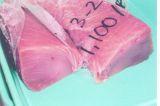  Yellow Fin Tuna