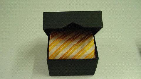  Neckties