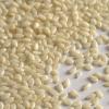  Hulled Sesame Seeds ( Hulled Sesame Seeds)