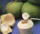  Fresh Coconut (Et noix de coco)