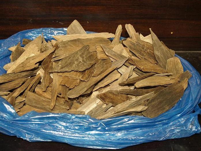 Steam Agarwood (Steam Agarwood)