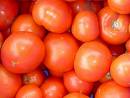  Fresh Tomato (Tomates fraîches)