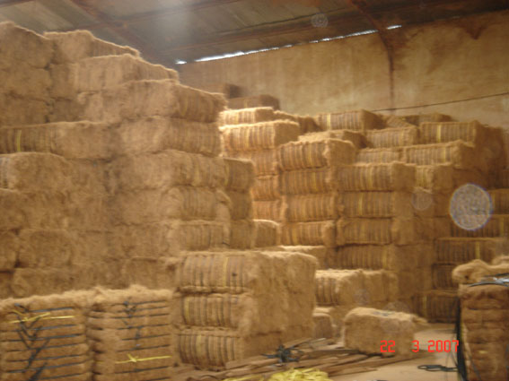  Coconut Fiber (Fibre de noix de coco)