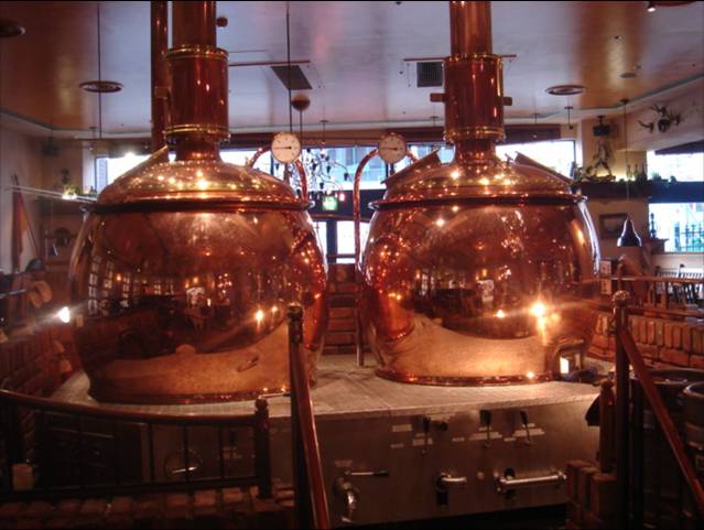  5 Hl Brewing System (5 гл Brewing System)