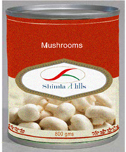  Canned Button Mushrooms (Conserves Champignons de couche)