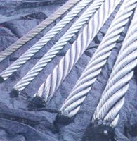  Stainless Steel Wire Rope ( Stainless Steel Wire Rope)