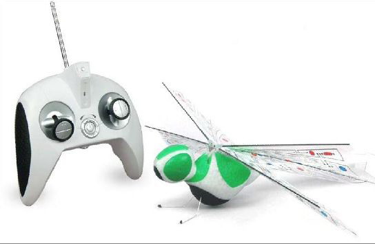  R/ C Plane (R / C Flugzeug)
