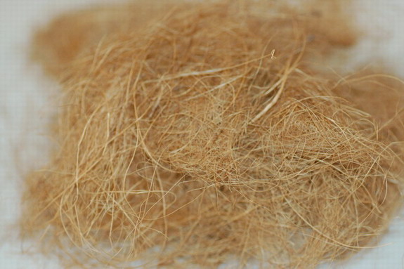  Coco Fiber (Coco Fiber)