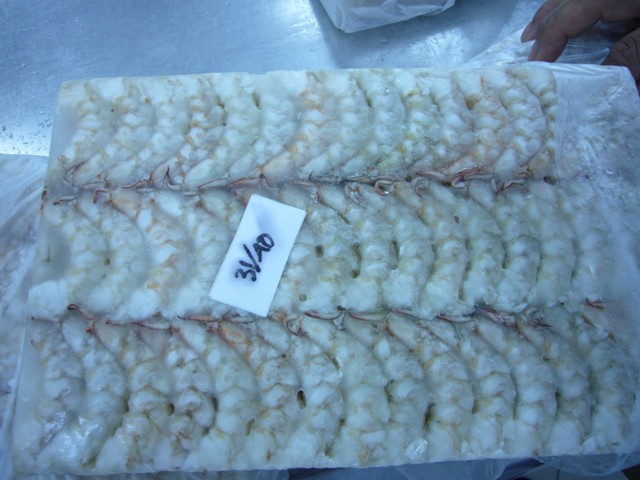  Shrimp Meat (Garnelen Fleisch)