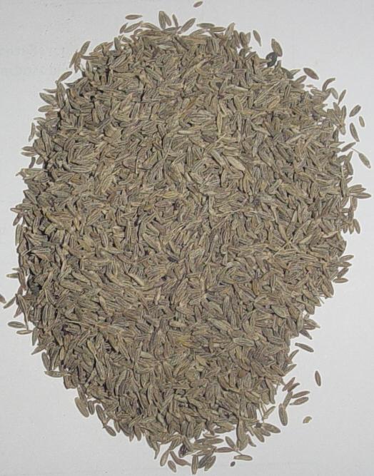  Cumin Seeds (Graines de cumin)