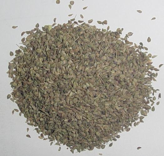  Ajwain (Bishop`s weed) (Weed Ajowan (Bishop`s))