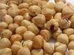  Hazelnuts ( Hazelnuts)