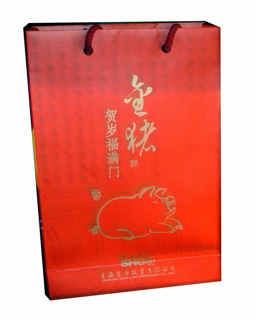  Paper Shopping Bag (Papier Shopping Bag)