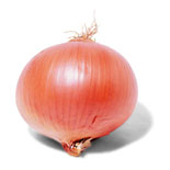 Onion (Oignon)