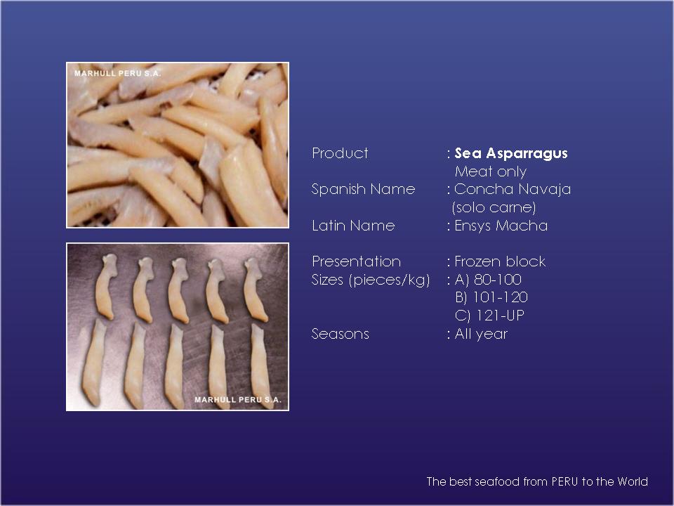  Frozen Sea Asparagus (Frozen Sea Spargel)