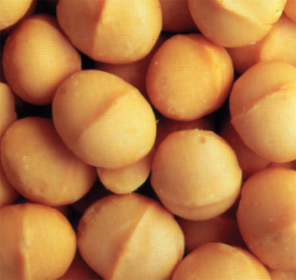  Macadamia Nuts (Noix de macadamia)