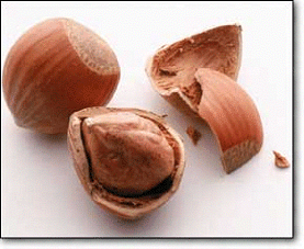  Best Quality Turkish Hazelnut (Meilleure qualité turques aux noisettes)