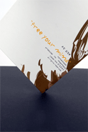  Notebook (Ноутбуки)