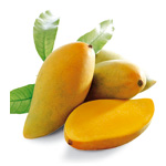  Mango (Манго)