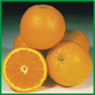  Orange (Апельсин)