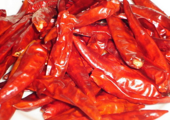  Dried Small Red Chilli (Getrocknete Small Red Chili)