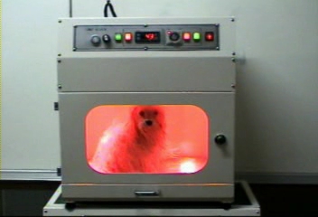  Pet Dryer (Patent)