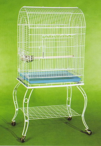 Parrot Cage