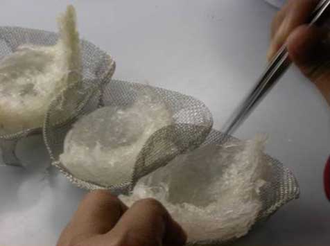  Pure House White Bird Nest (Pure House White Bird`s Nest)