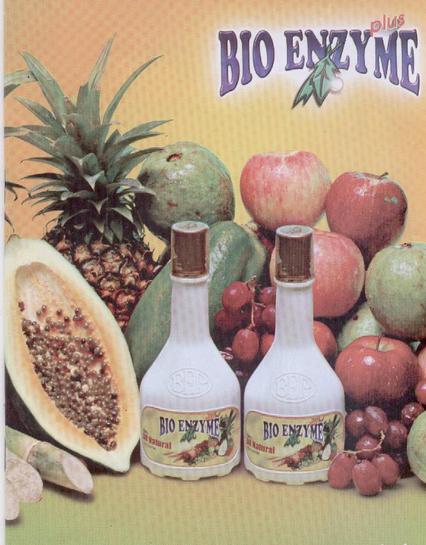  Bio Enzyme Plus (Фермент Био Плюс)