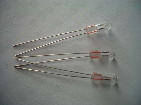 Miniature Bulb (Miniature Bulb)