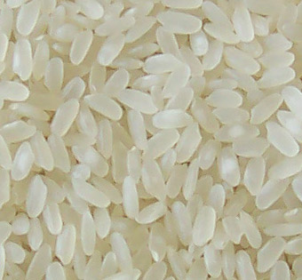  Egyptian Rice (Le riz égyptien)