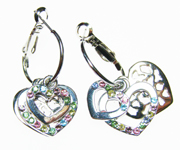 Earring ( Earring)