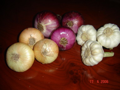  Onions (Zwiebeln)