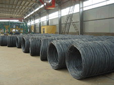  Steel Coil
