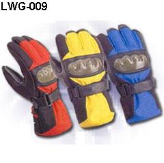  Winter Gloves (Gants d`hiver)