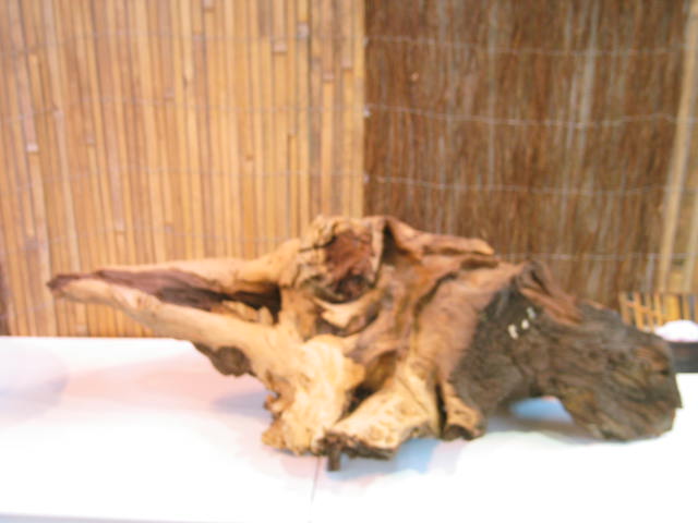  Mopani Wood