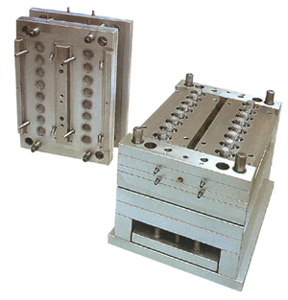  Mould ( Mould)